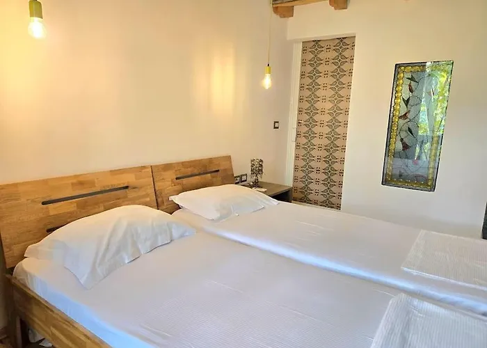 Albanian Art In Tirana's Heart アパート ティラナ